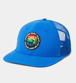 Ralph Lauren Cap Mens Blue